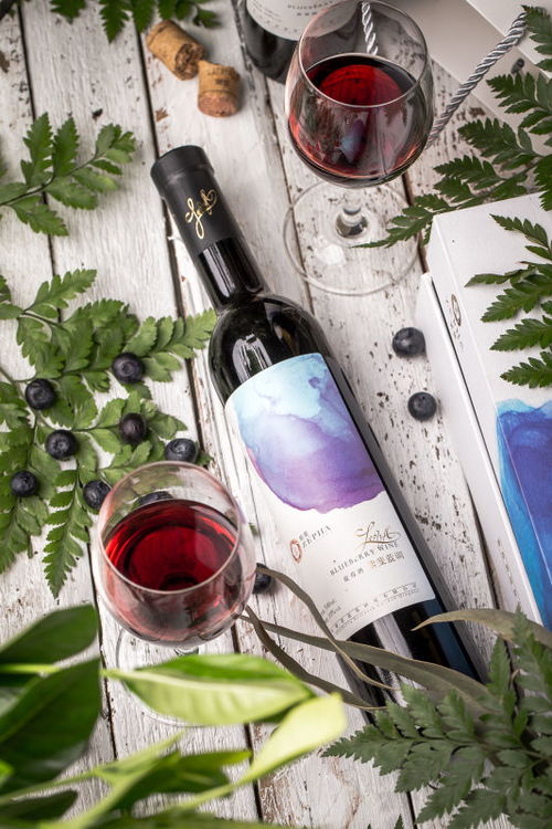 青島紫斐酒業攜旗下全系藍莓果酒亮相上海果酒展