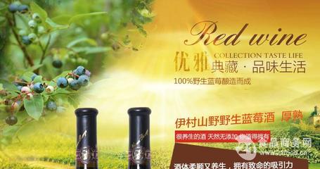 藍莓干紅(中國 青島)-山東伊春山野商貿