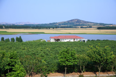 藍(lán)莓酒成國際酒業(yè)"后起之秀" 青島酒莊參與制定國家標(biāo)準(zhǔn)|青島|半島網(wǎng)