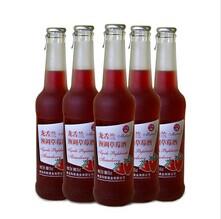 青島瑪麗龍舌蘭與藍(lán)莓酒 批發(fā)價(jià)格、廠家及市場(chǎng)概況